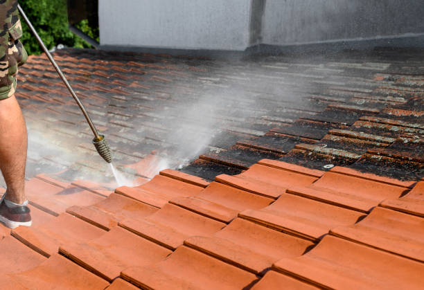 Best Deck Cleaning Services  in High Point, FL